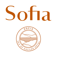 עיצוב ללא שם - 2022-08-20T222515.330